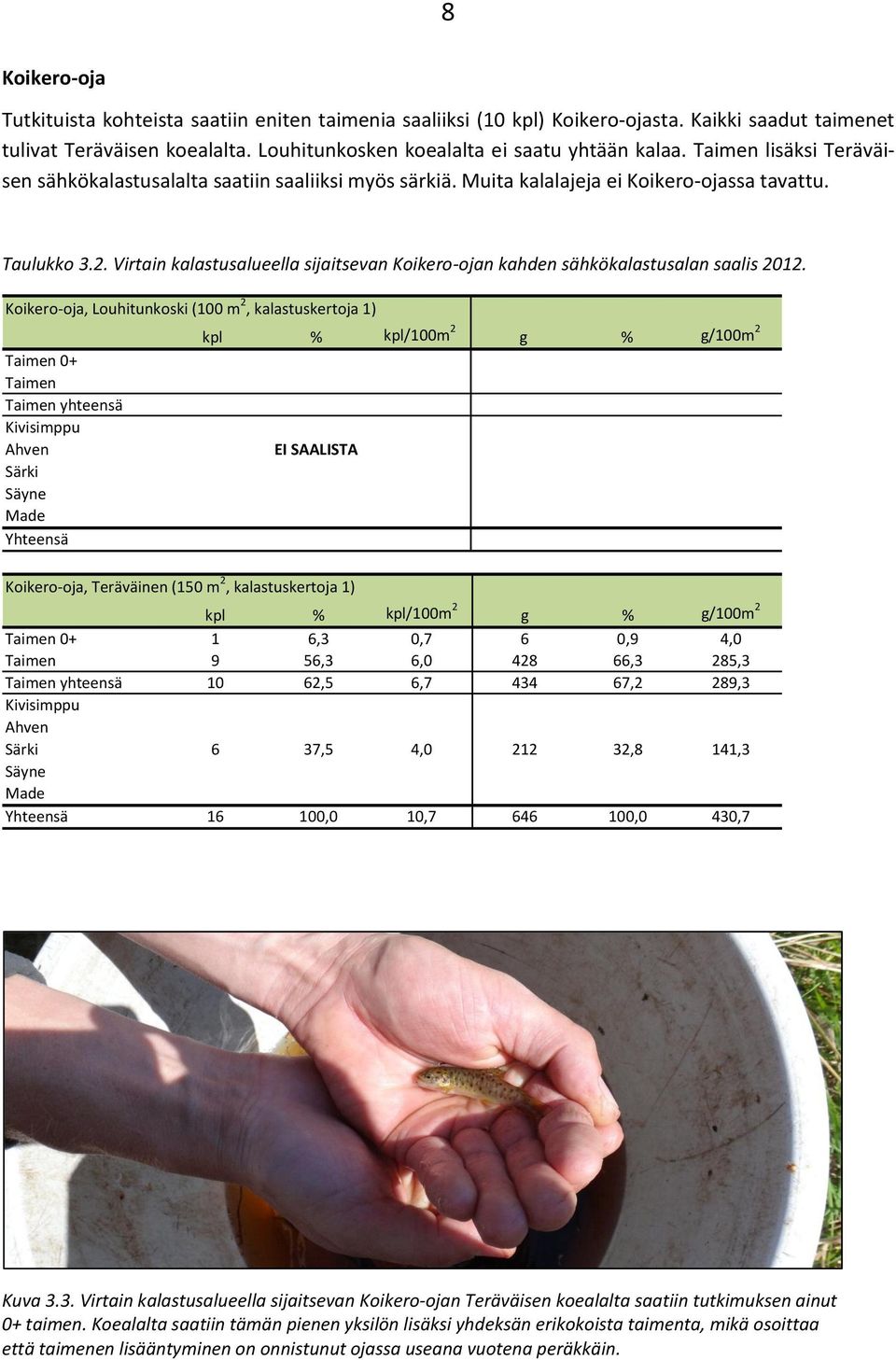 Virtain kalastusalueella sijaitsevan Koikero-ojan kahden sähkökalastusalan saalis 2012.