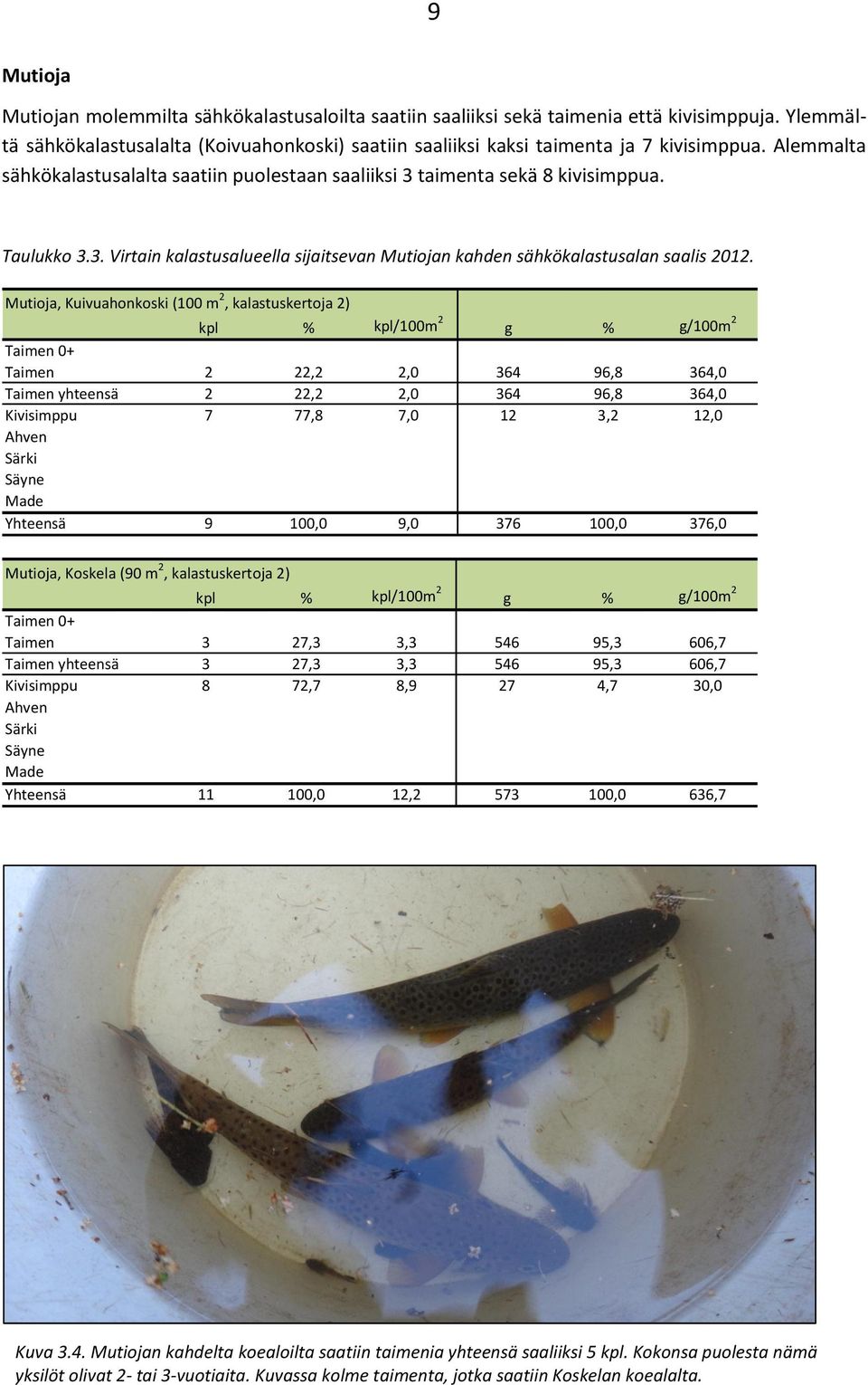 Mutioja, Kuivuahonkoski (100 m 2, kalastuskertoja 2) kpl % kpl/100m 2 g % g/100m 2 Taimen 0+ Taimen 2 22,2 2,0 364 96,8 364,0 Taimen yhteensä 2 22,2 2,0 364 96,8 364,0 Kivisimppu 7 77,8 7,0 12 3,2