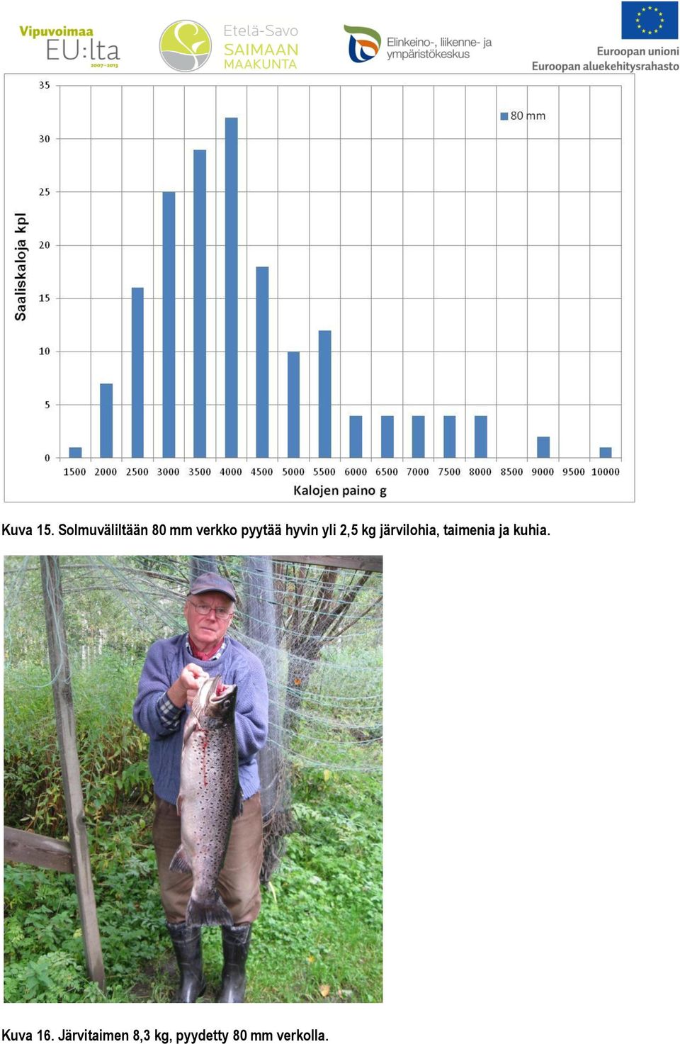 hyvin yli 2,5 kg järvilohia,