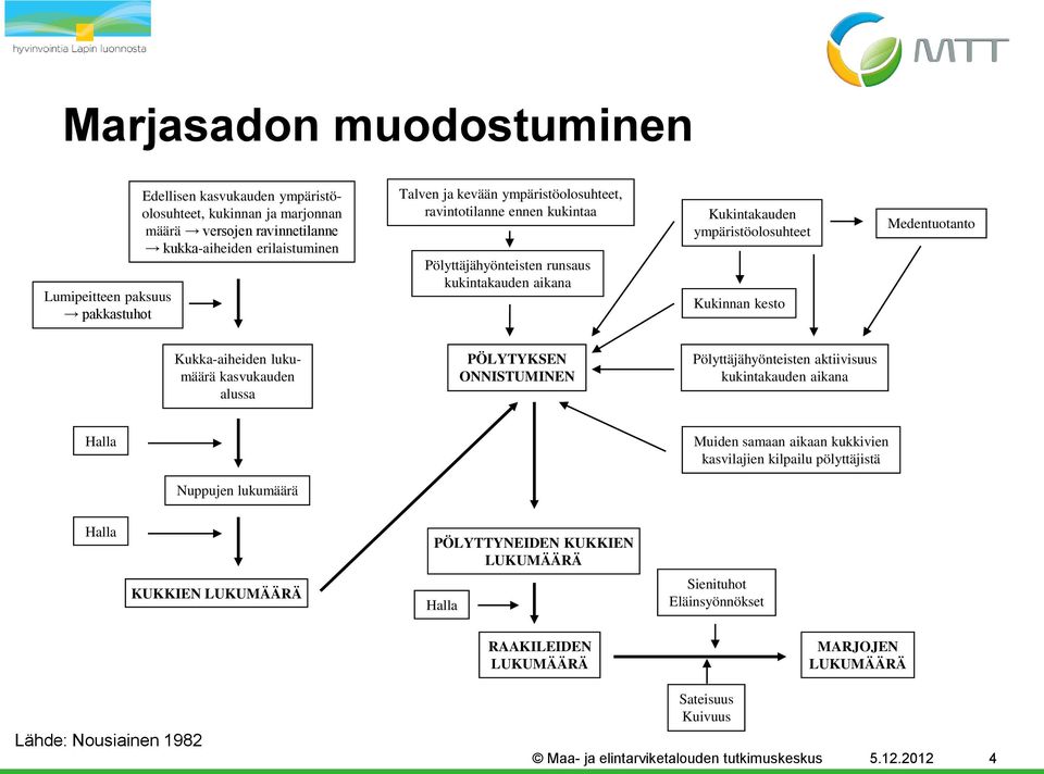 kasvukauden alussa PÖLYTYKSEN ONNISTUMINEN Pölyttäjähyönteisten aktiivisuus kukintakauden aikana Halla Muiden samaan aikaan kukkivien kasvilajien kilpailu pölyttäjistä Nuppujen lukumäärä Halla