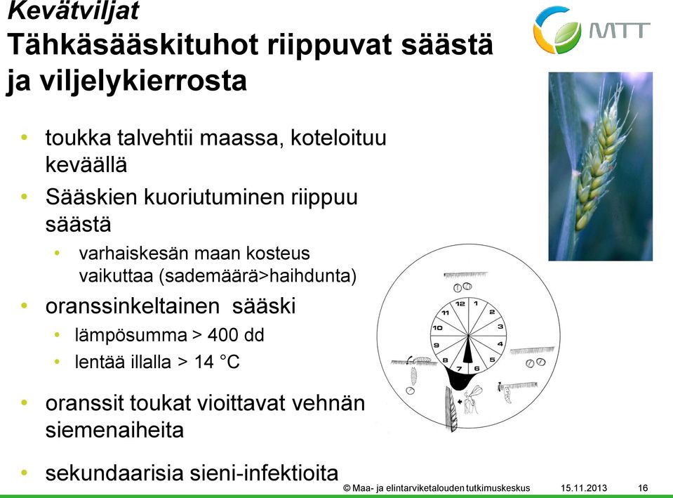 (sademäärä>haihdunta) oranssinkeltainen sääski lämpösumma > 400 dd lentää illalla > 14 C oranssit