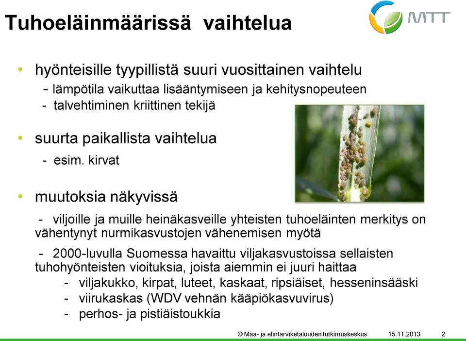 kirvat muutoksia näkyvissä - viljoille ja muille heinäkasveille yhteisten tuhoeläinten merkitys on vähentynyt nurmikasvustojen vähenemisen myötä - 2000-luvulla