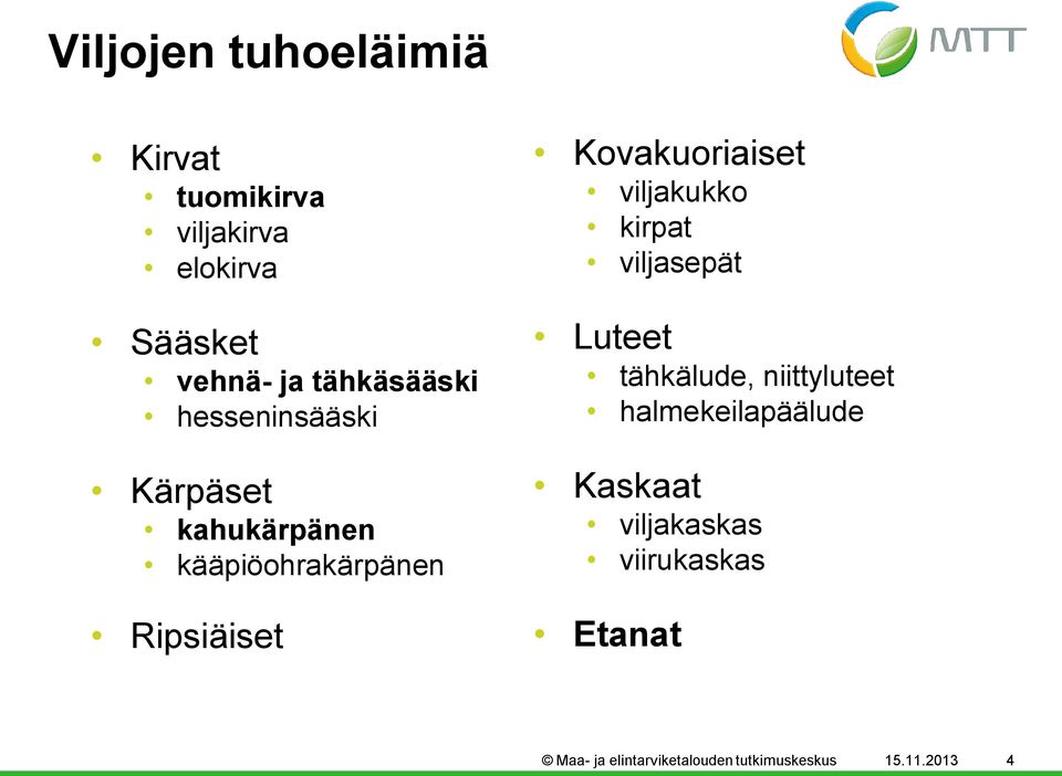 Kovakuoriaiset viljakukko kirpat viljasepät Luteet tähkälude, niittyluteet