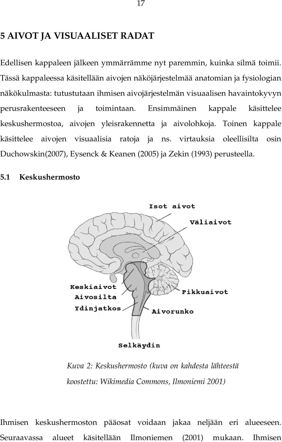 Ensimmäinen kappale käsittelee keskushermostoa, aivojen yleisrakennetta ja aivolohkoja. Toinen kappale käsittelee aivojen visuaalisia ratoja ja ns.