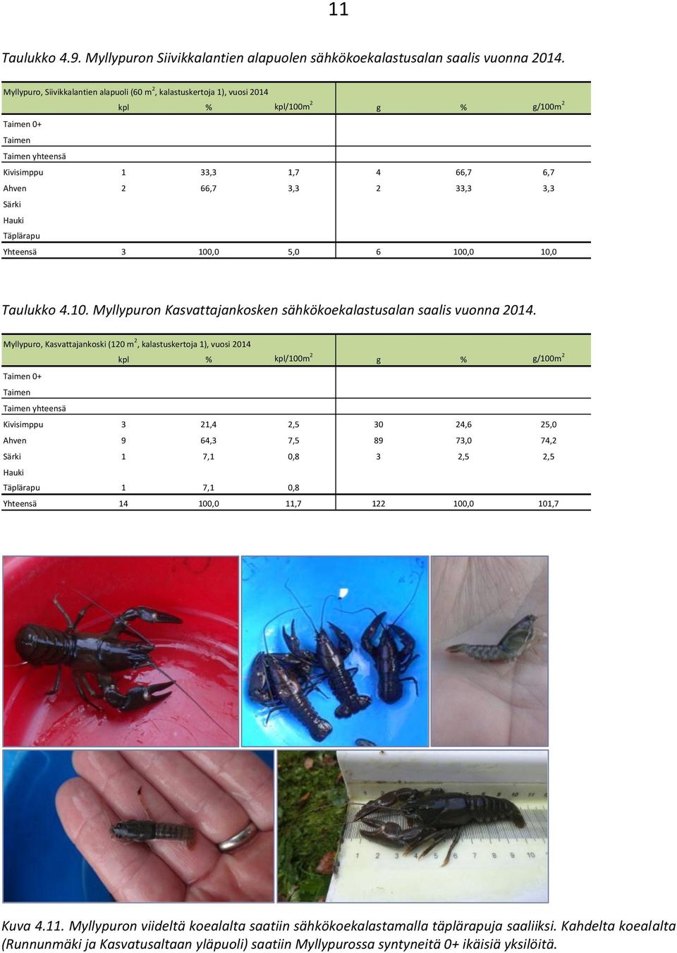 Särki Hauki Täplärapu Yhteensä 3 100,0 5,0 6 100,0 10,0 Taulukko 4.10. Myllypuron Kasvattajankosken sähkökoekalastusalan saalis vuonna 2014.