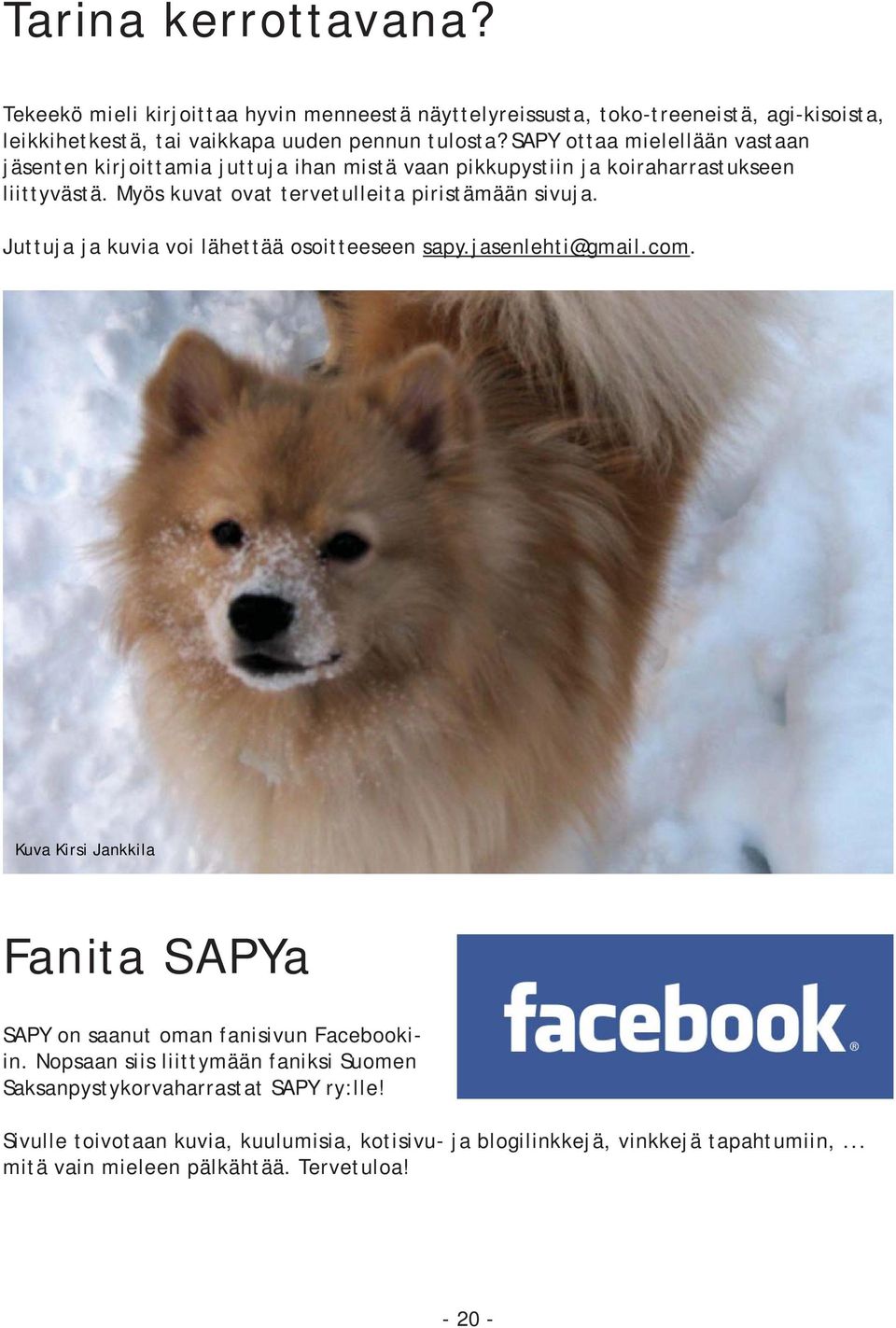 Juttuja ja kuvia voi lähettää osoitteeseen sapy.jasenlehti@gmail.com. Kuva Kirsi Jankkila Fanita SAPYa SAPY on saanut oman fanisivun Facebookiin.