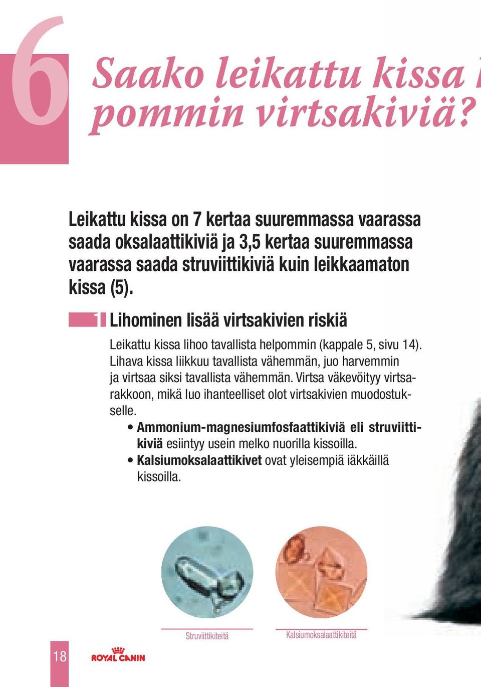 1 Lihominen lisää virtsakivien riskiä Leikattu kissa lihoo tavallista helpommin (kappale 5, sivu 14).