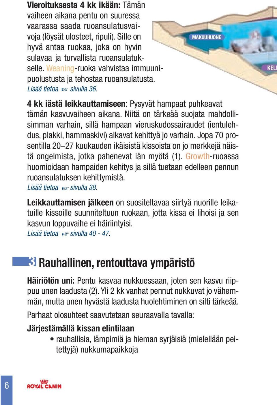 MAKUUHUONE KELL 4 kk iästä leikkauttamiseen: Pysyvät hampaat puhkeavat tämän kasvuvaiheen aikana.