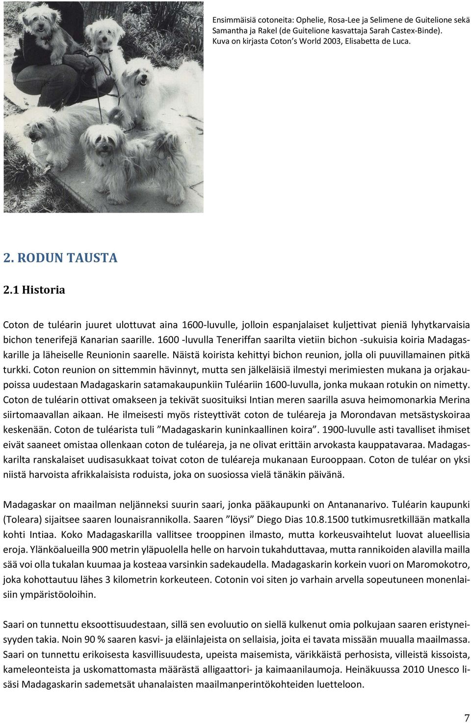 1600 -luvulla Teneriffan saarilta vietiin bichon -sukuisia koiria Madagaskarille ja läheiselle Reunionin saarelle. Näistä koirista kehittyi bichon reunion, jolla oli puuvillamainen pitkä turkki.
