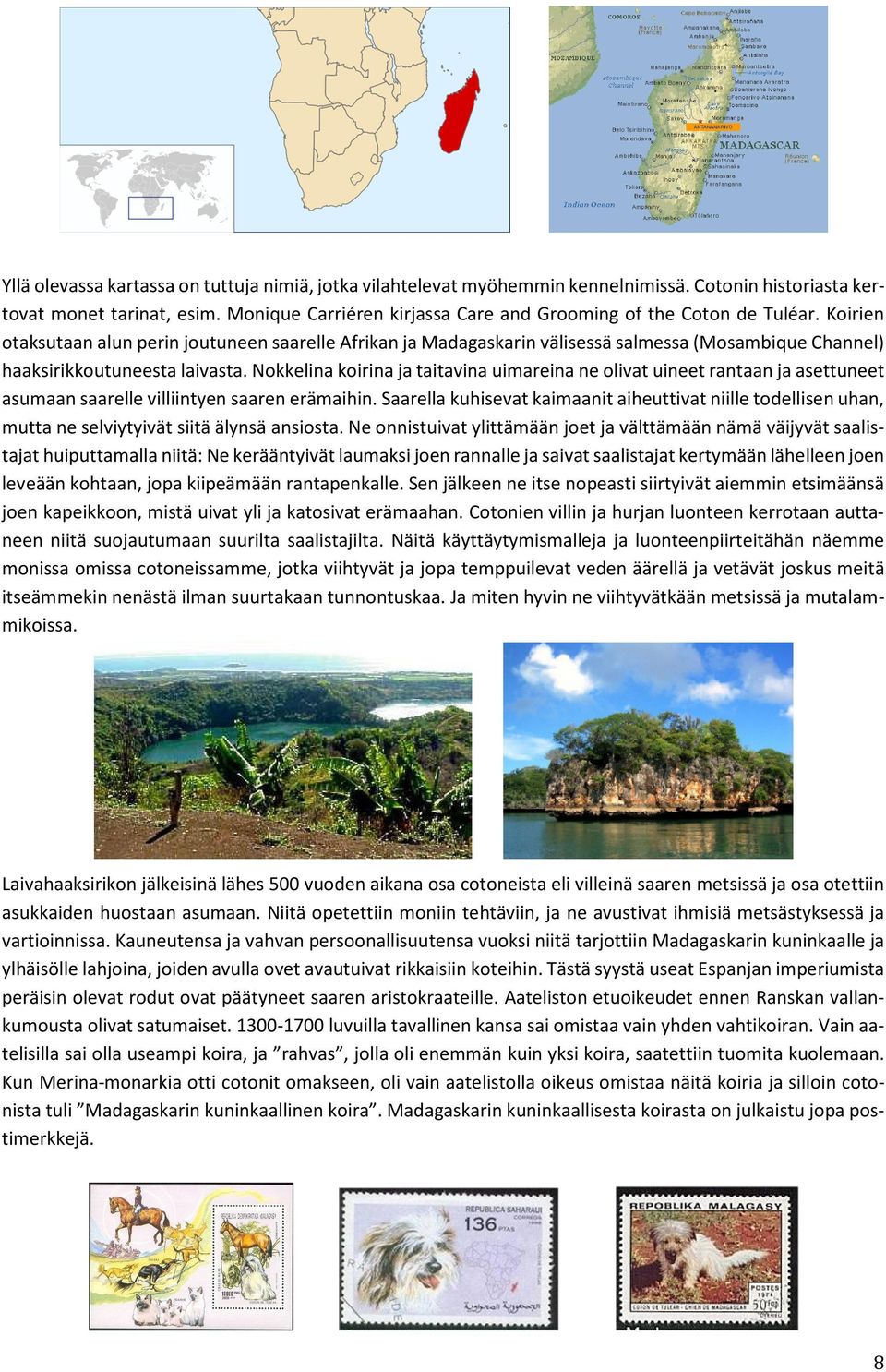 Koirien otaksutaan alun perin joutuneen saarelle Afrikan ja Madagaskarin välisessä salmessa (Mosambique Channel) haaksirikkoutuneesta laivasta.
