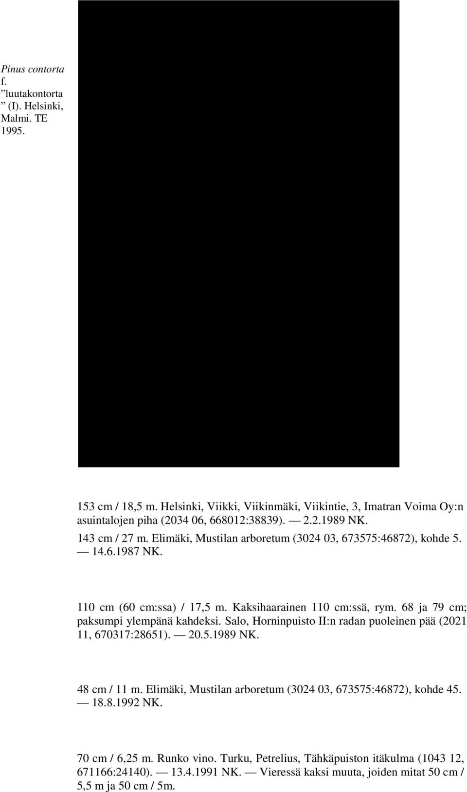 Elimäki, Mustilan arboretum (3024 03, 673575:46872), kohde 5. 14.6.1987 NK. 110 cm (60 cm:ssa) / 17,5 m. Kaksihaarainen 110 cm:ssä, rym. 68 ja 79 cm; paksumpi ylempänä kahdeksi.