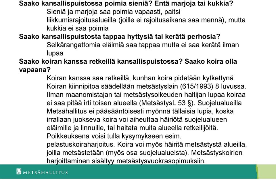 Selkärangattomia eläimiä saa tappaa mutta ei saa kerätä ilman lupaa Saako koiran kanssa retkeillä kansallispuistossa? Saako koira olla vapaana?