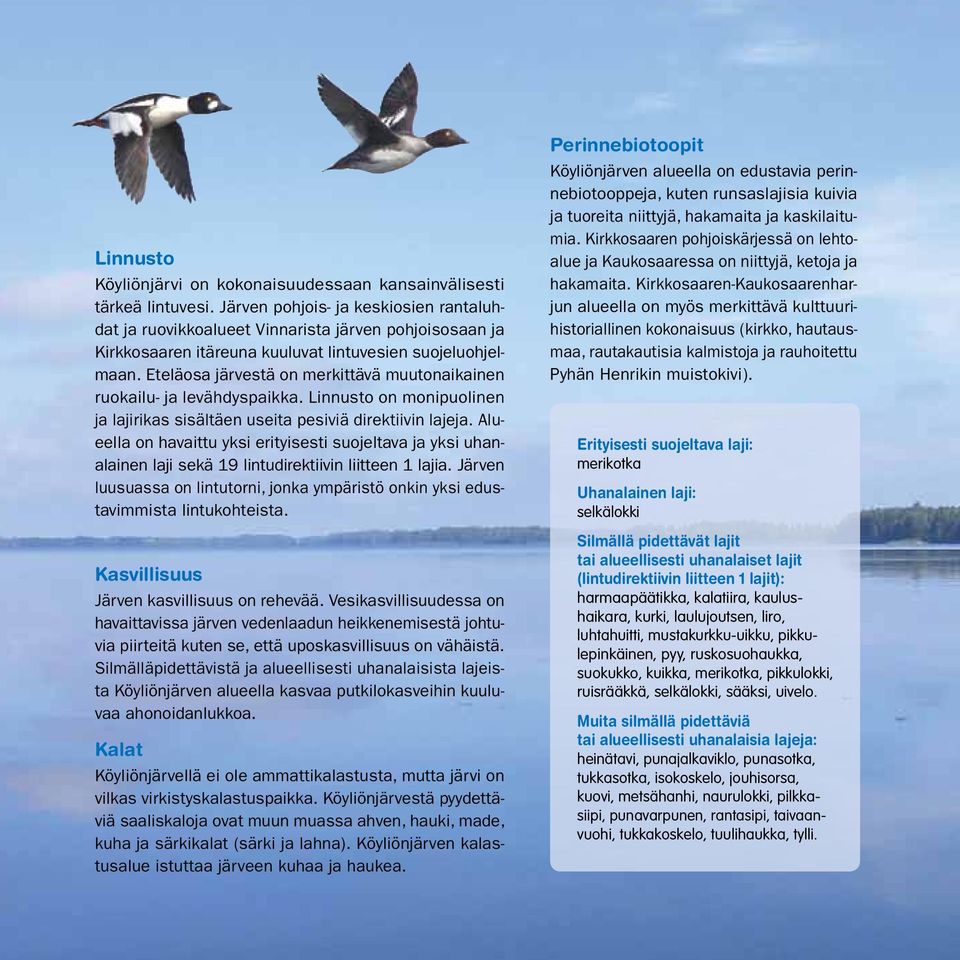 Eteläosa järvestä on merkittävä muutonaikainen ruokailu- ja levähdyspaikka. Linnusto on monipuolinen ja lajirikas sisältäen useita pesiviä direktiivin lajeja.