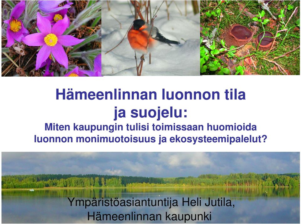 monimuotoisuus ja ekosysteemipalelut?