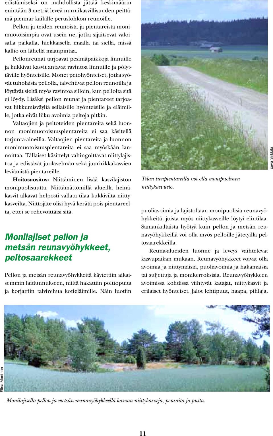 Pellonreunat tarjoavat pesimäpaikkoja linnuille ja kukkivat kasvit antavat ravintoa linnuille ja pölyttäville hyönteisille.