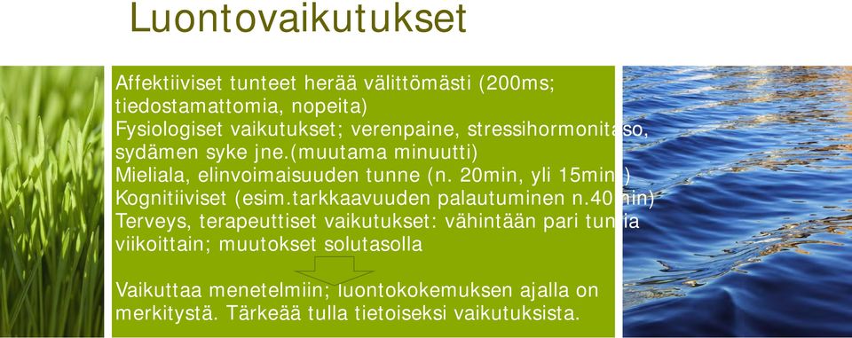 20min, yli 15min)) Kognitiiviset (esim.tarkkaavuuden palautuminen n.