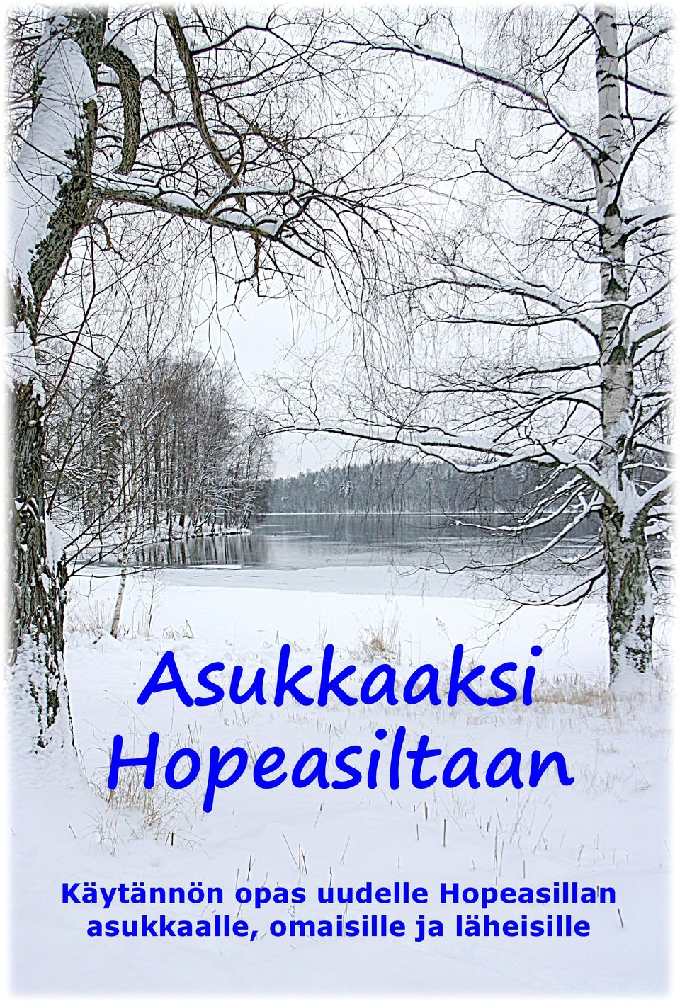 Hopeasillan asukkaalle,