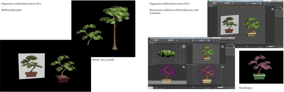 Bonsai puun mallinnus referenssikuvasta, sekä