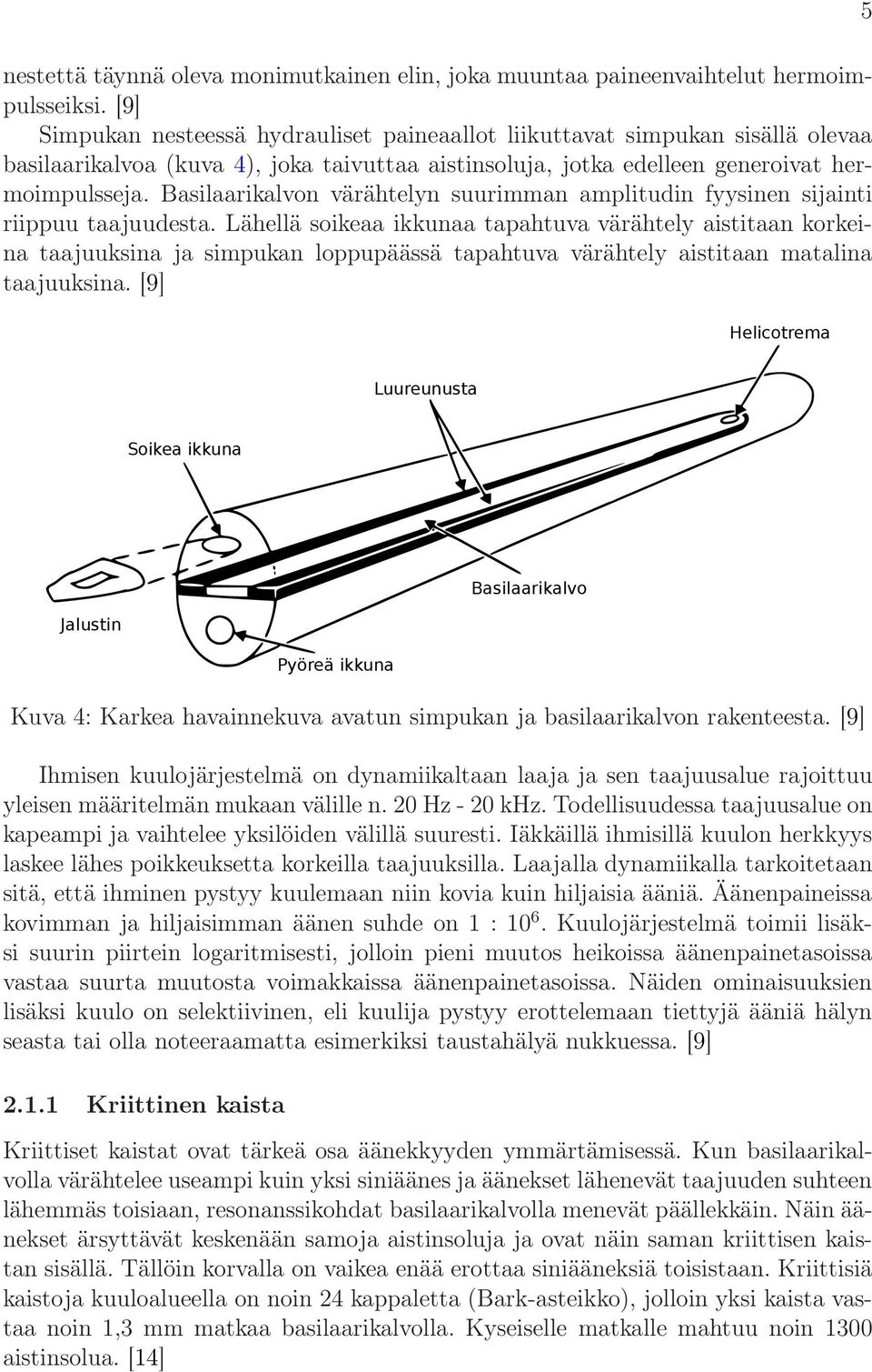 Basilaarikalvon värähtelyn suurimman amplitudin fyysinen sijainti riippuu taajuudesta.