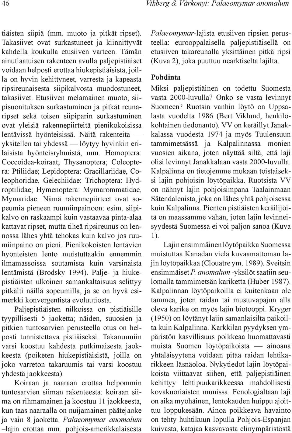 takasiivet. Etusiiven melamainen muoto, siipisuonituksen surkastuminen ja pitkät reunaripset sekä toisen siipiparin surkastuminen ovat yleisiä rakennepiirteitä pienikokoisissa lentävissä hyönteisissä.