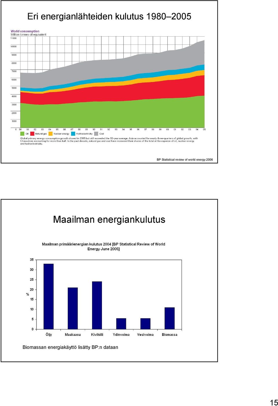 energy 2006 Maailman energiankulutus