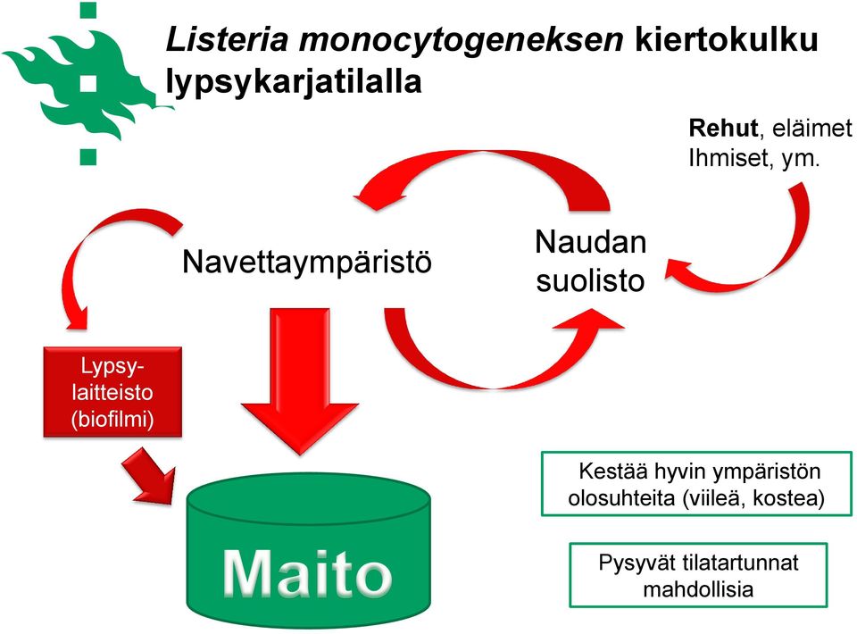 Navettaympäristö Naudan suolisto Lypsylaitteisto