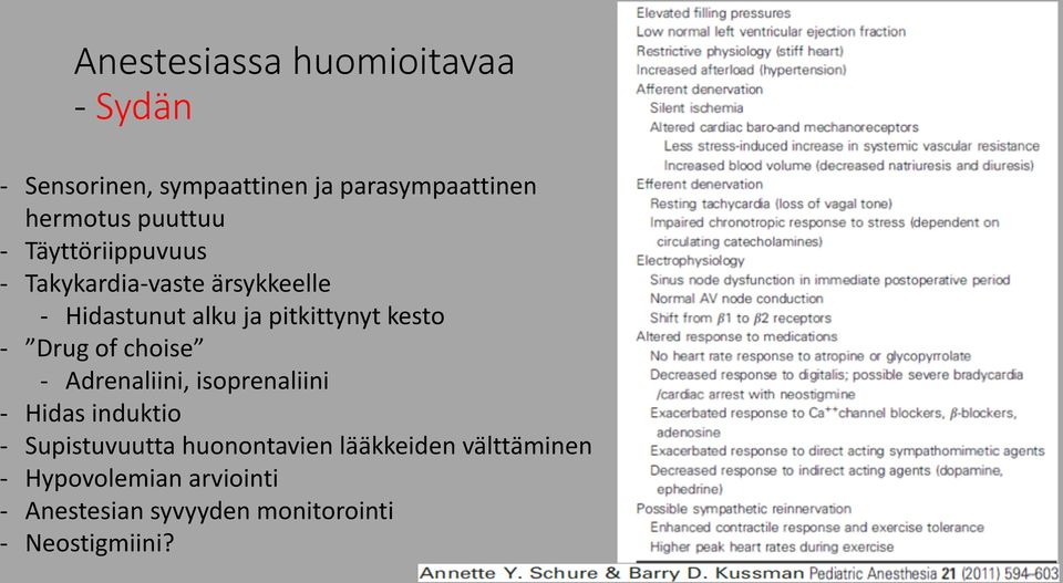 kesto - Drug of choise - Adrenaliini, isoprenaliini - Hidas induktio - Supistuvuutta