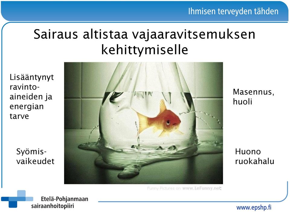 ravintoaineiden ja energian tarve