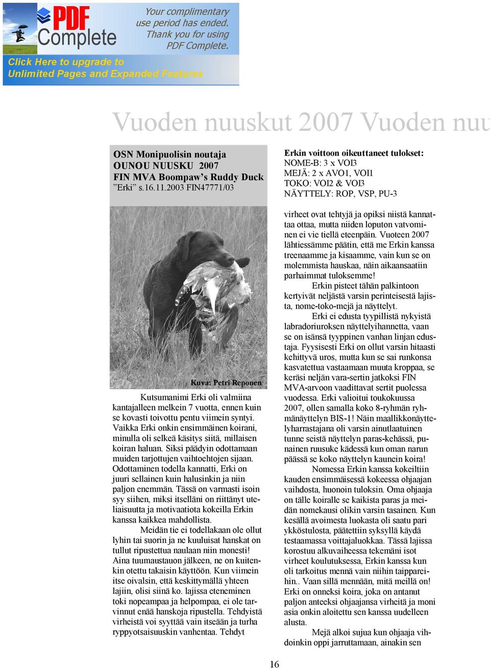 Vaikka Erki onkin ensimmäinen koirani, minulla oli selkeä käsitys siitä, millaisen koiran haluan. Siksi päädyin odottamaan muiden tarjottujen vaihtoehtojen sijaan.