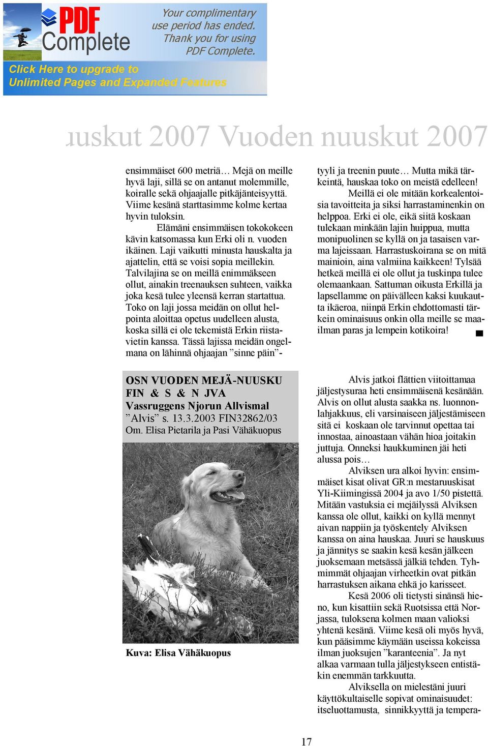 Laji vaikutti minusta hauskalta ja ajattelin, että se voisi sopia meillekin. Talvilajina se on meillä enimmäkseen ollut, ainakin treenauksen suhteen, vaikka joka kesä tulee yleensä kerran startattua.