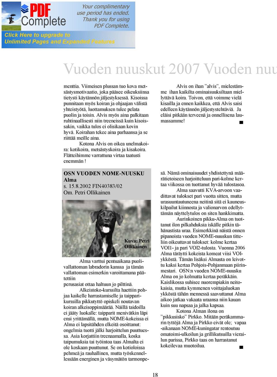 Alvis myös aina palkitaan ruhtinaallisesti niin treeneissä kuin kisoissakin, vaikka tulos ei olisikaan kovin hyvä. Koirahan tekee aina parhaansa ja se riittää meille aina.