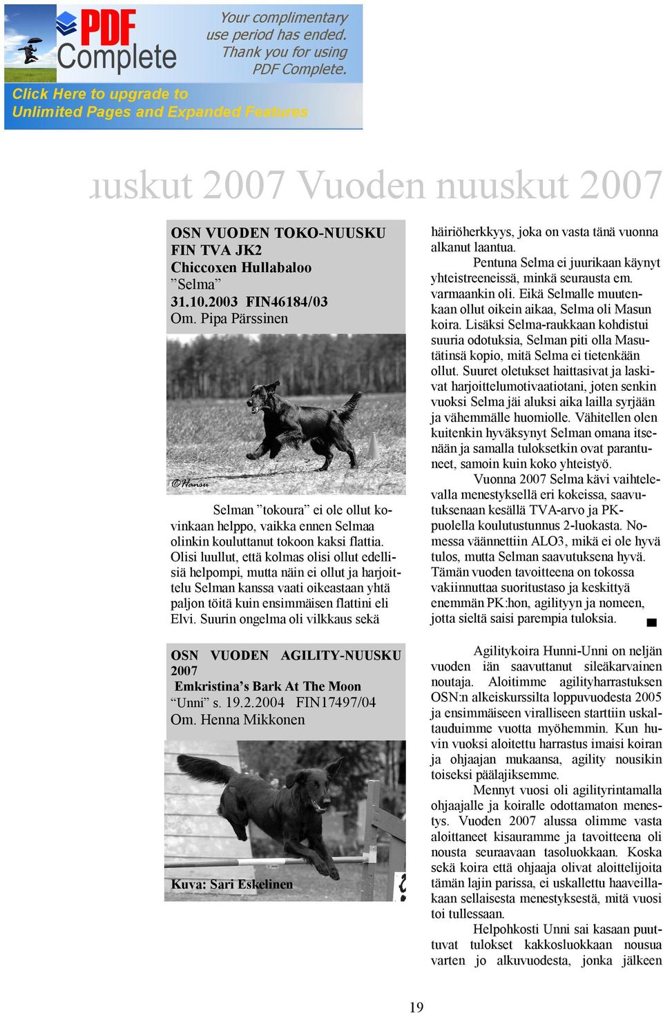 Olisi luullut, että kolmas olisi ollut edellisiä helpompi, mutta näin ei ollut ja harjoittelu Selman kanssa vaati oikeastaan yhtä paljon töitä kuin ensimmäisen flattini eli Elvi.