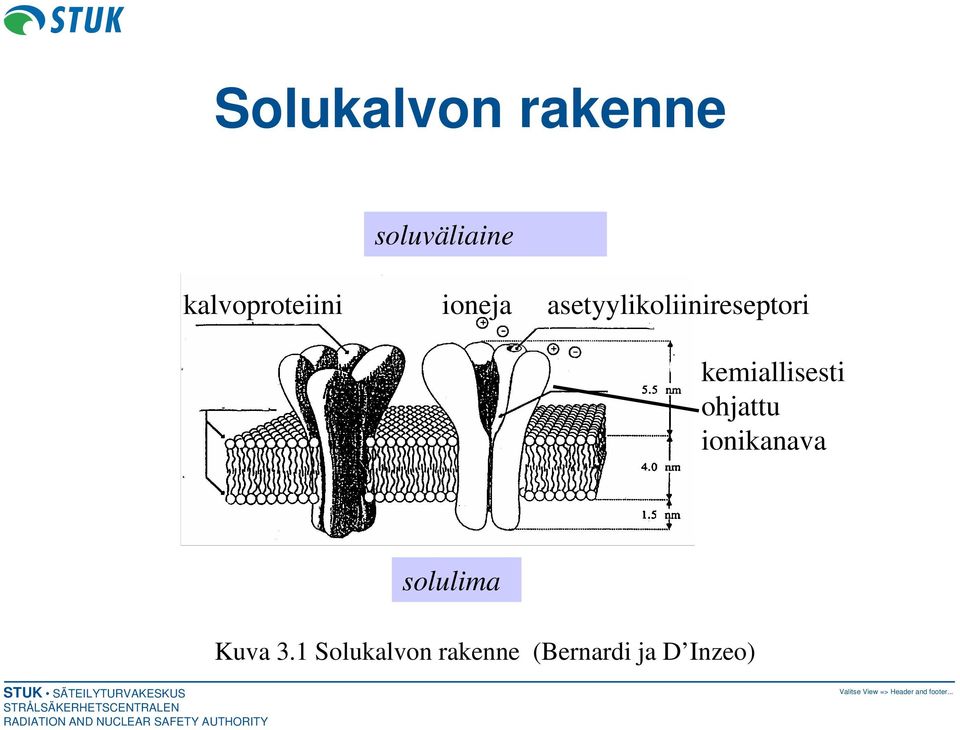 asetyylikoliinireseptori kemiallisesti