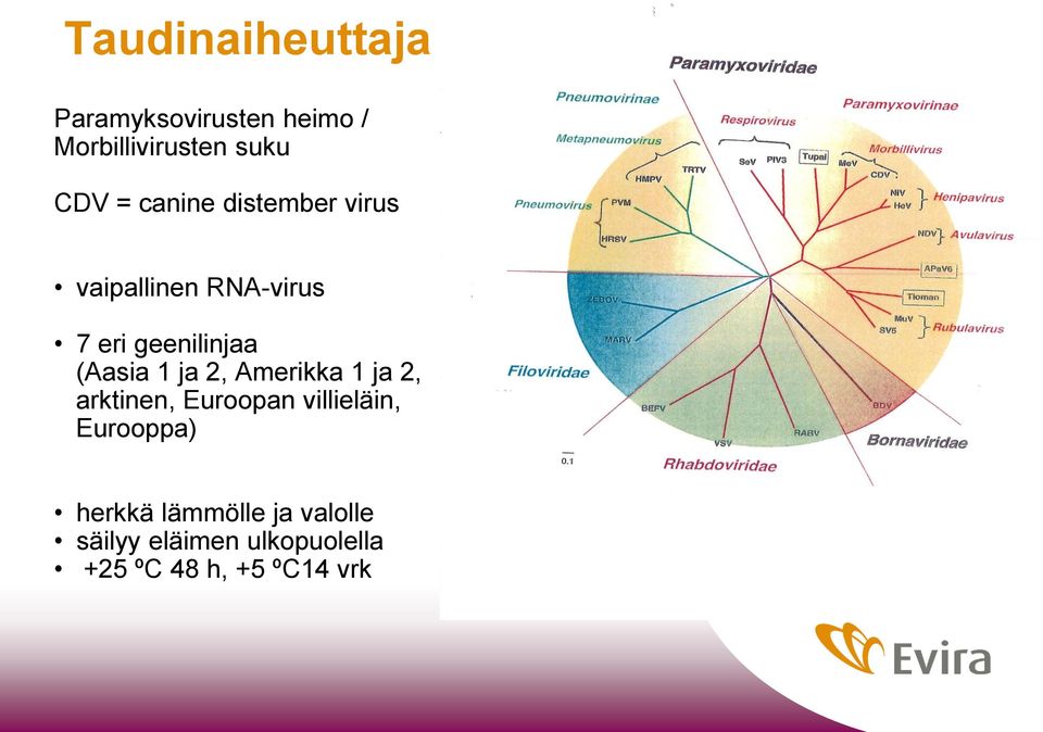 ja 2, Amerikka 1 ja 2, arktinen, Euroopan villieläin, Eurooppa) herkkä