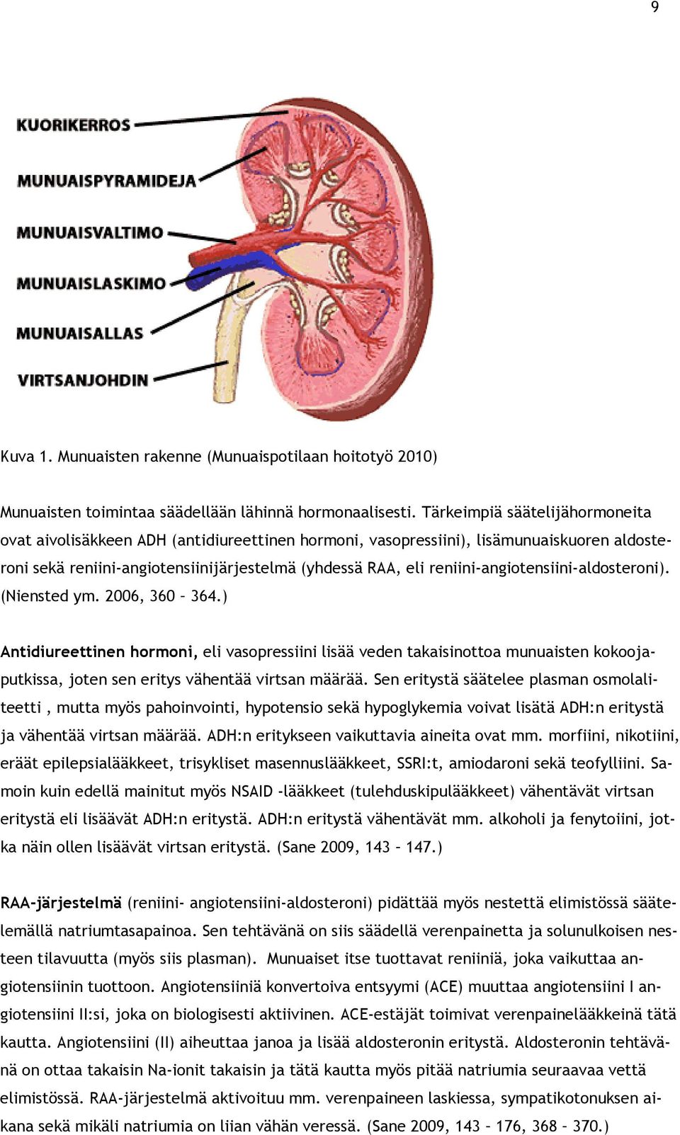 reniini-angiotensiini-aldosteroni). (Niensted ym. 2006, 360 364.