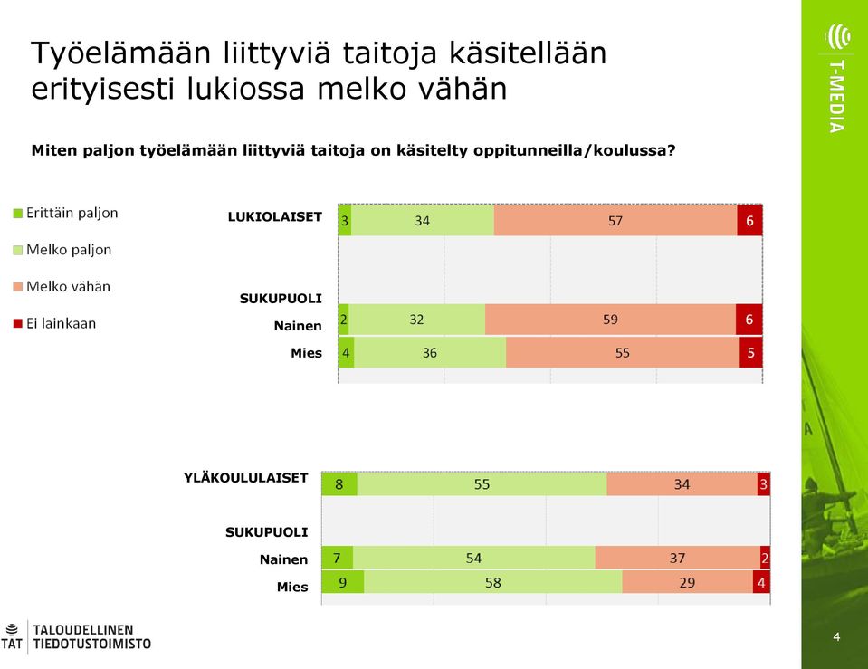 taitoja on käsitelty oppitunneilla/koulussa?