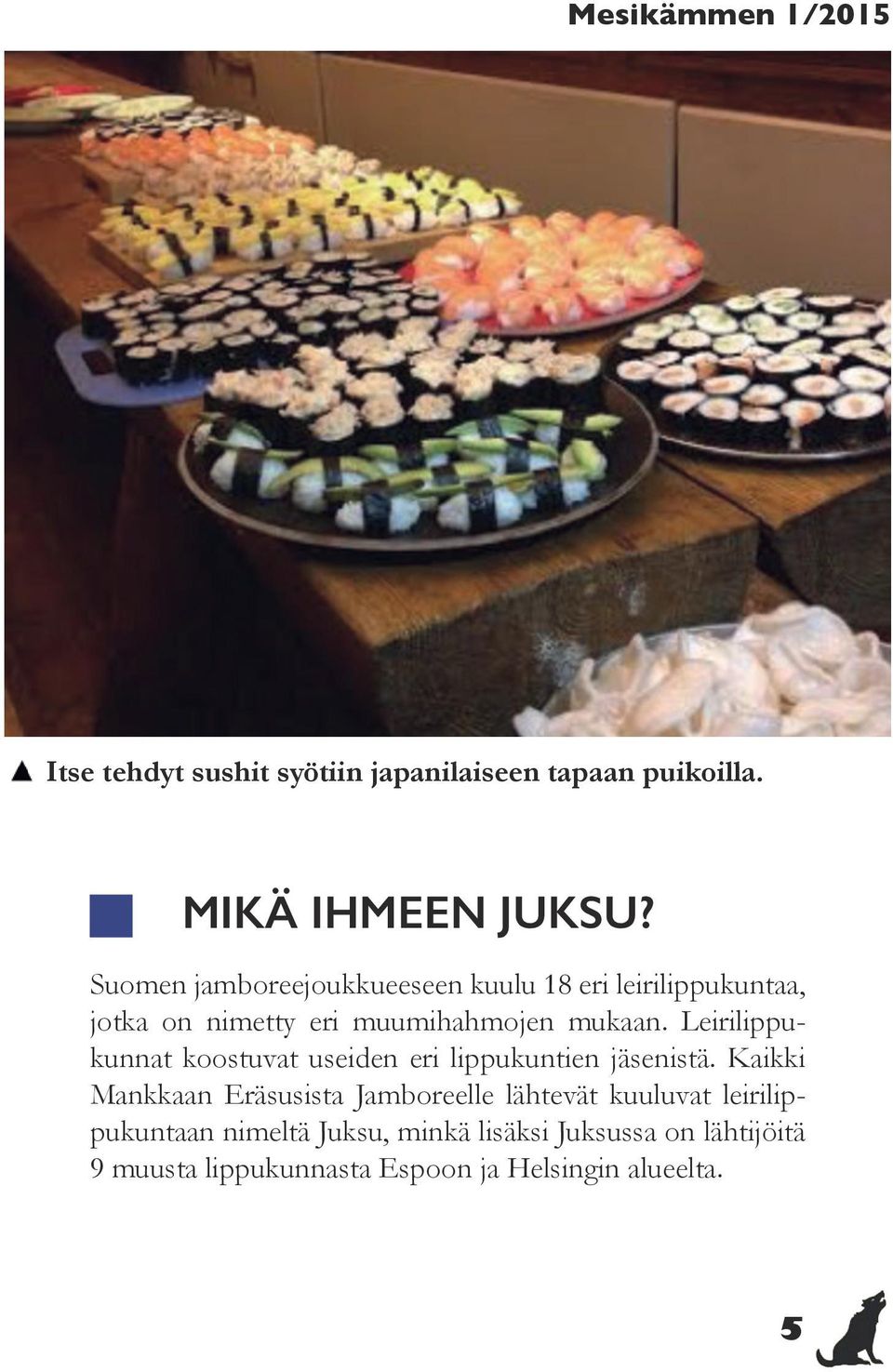 Leirilippukunnat koostuvat useiden eri lippukuntien jäsenistä.