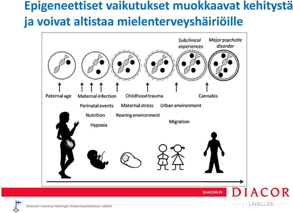 kehitystä ja voivat