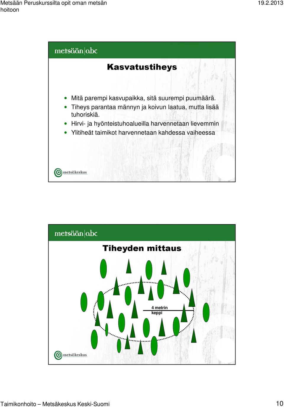 Hirvi- ja hyönteistuhoalueilla harvennetaan lievemmin Ylitiheät taimikot