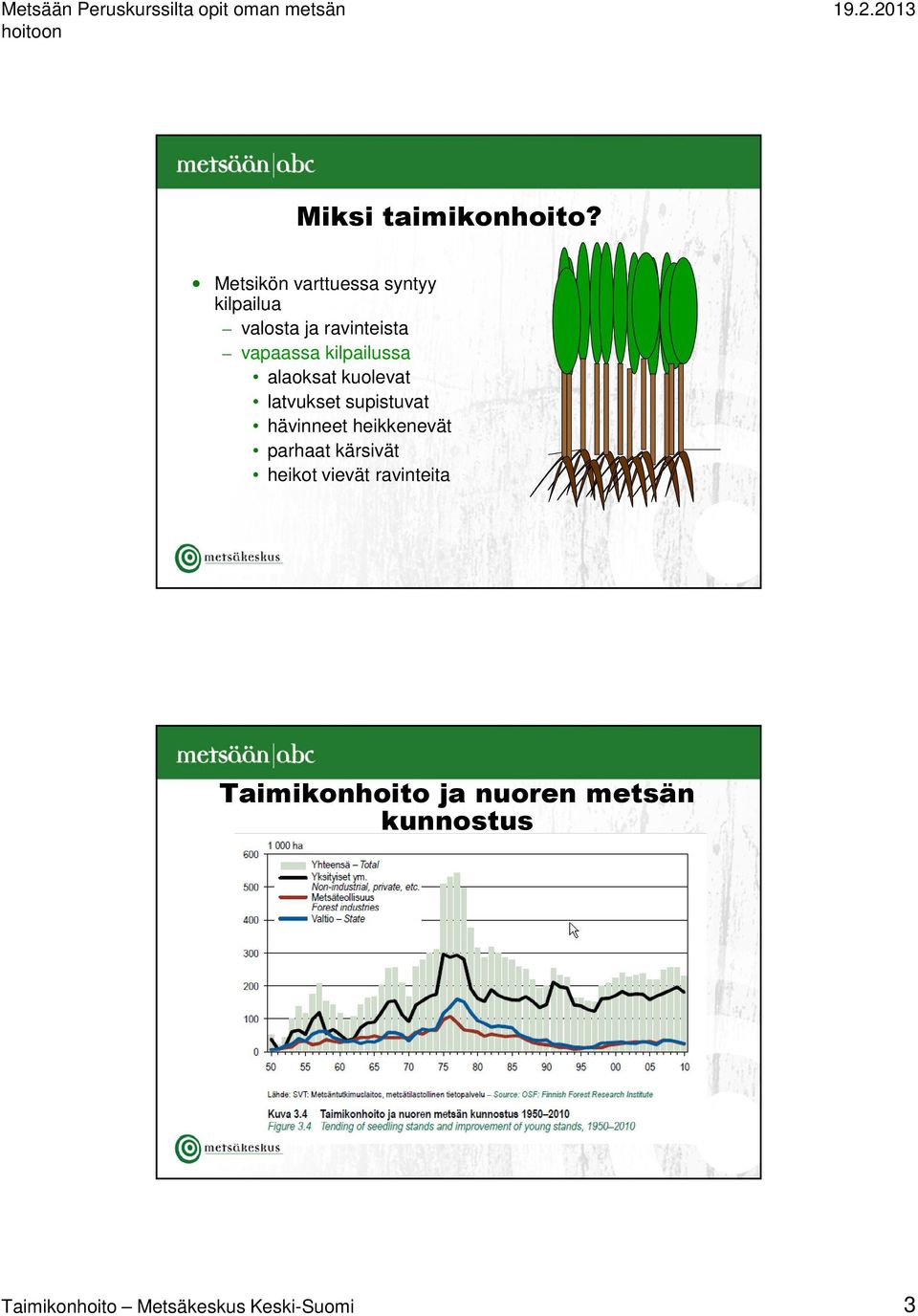 kilpailussa alaoksat kuolevat latvukset supistuvat hävinneet