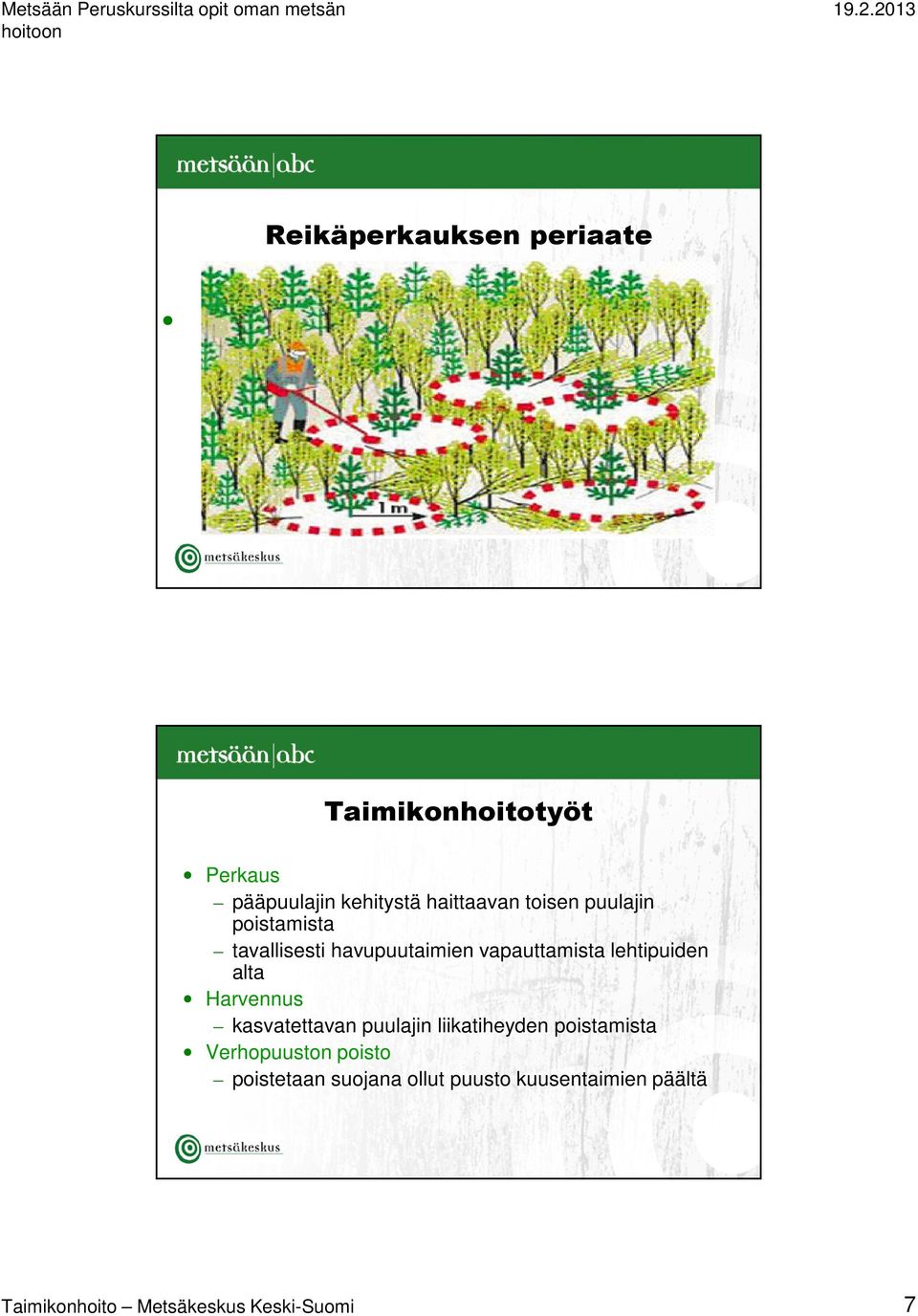 alta Harvennus kasvatettavan puulajin liikatiheyden poistamista Verhopuuston poisto