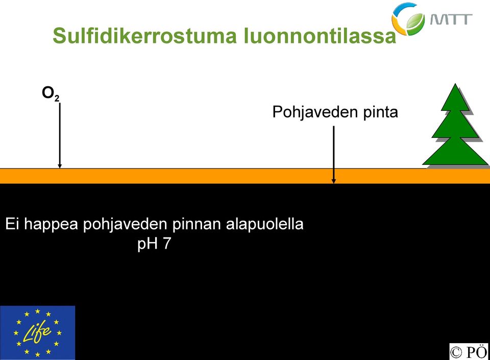 Pohjaveden pinta Ei