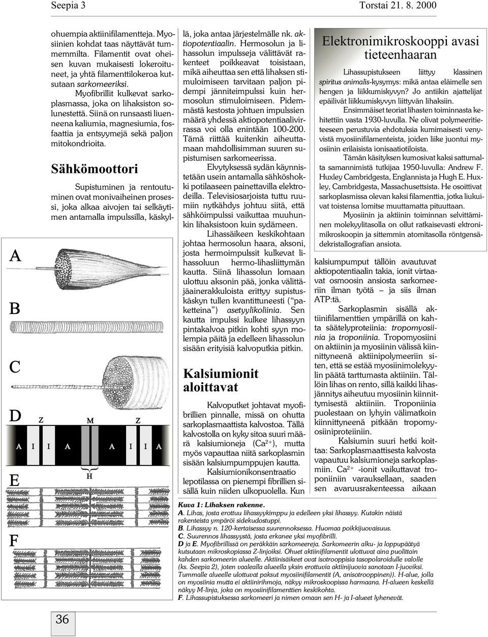 Siinä on runsaasti liuenneena kaliumia, magnesiumia, fosfaattia ja entsyymejä sekä paljon mitokondrioita.