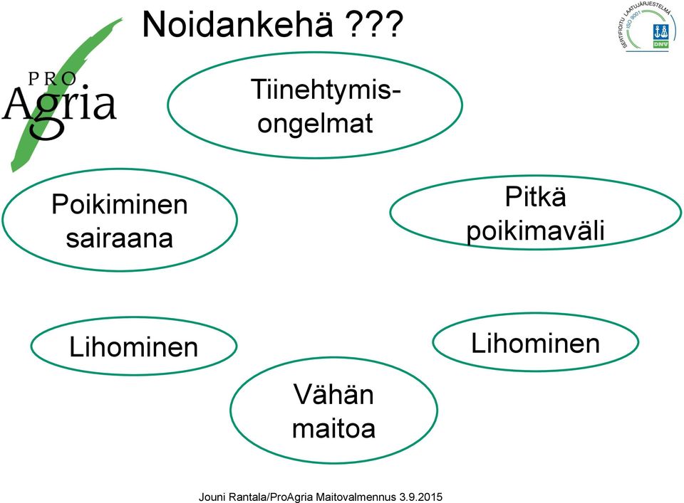 sairaana Pitkä poikimaväli Lihominen