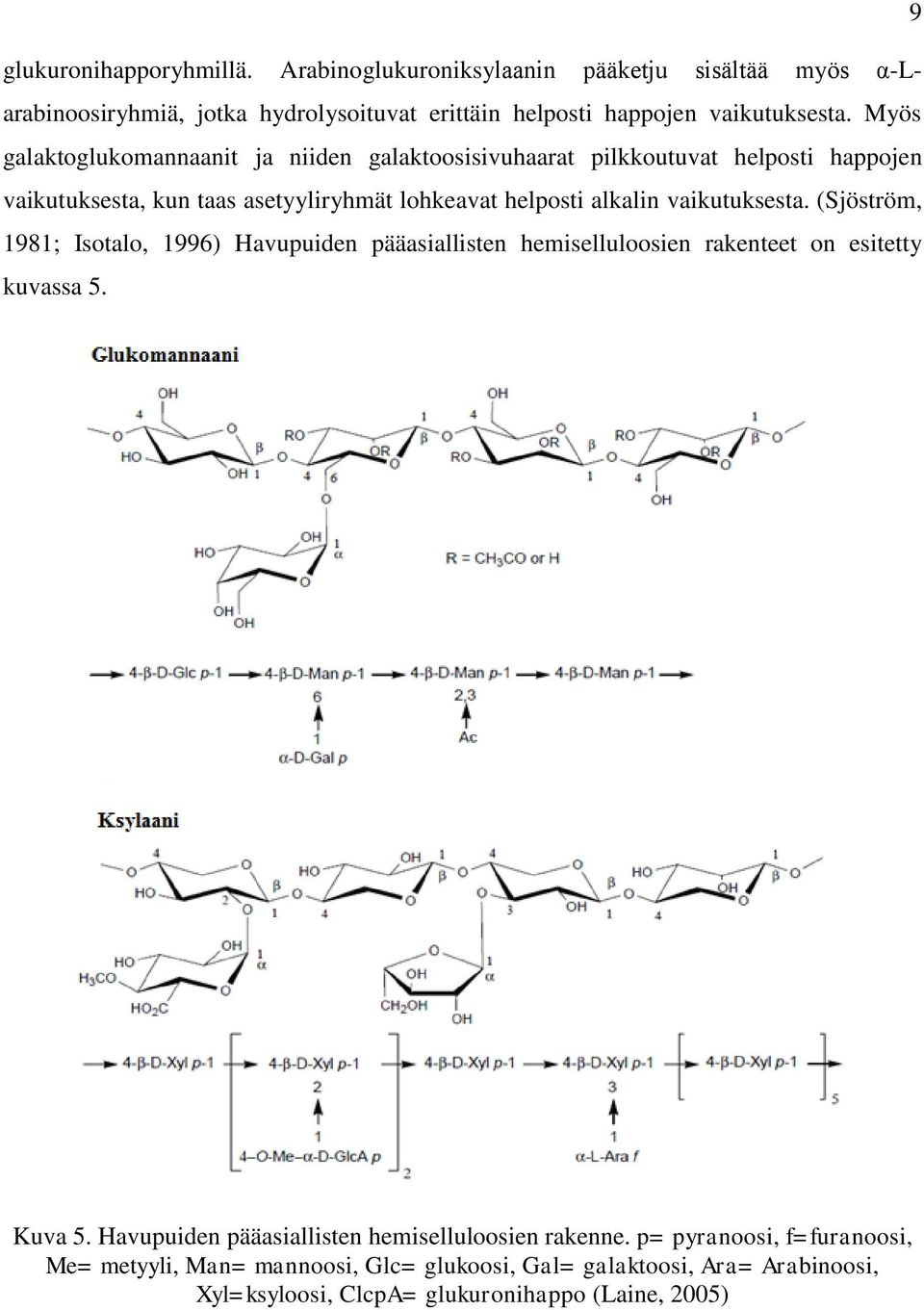 vaikutuksesta. (Sjöström, 1981; Isotalo, 1996) Havupuiden pääasiallisten hemiselluloosien rakenteet on esitetty kuvassa 5. Kuva 5.