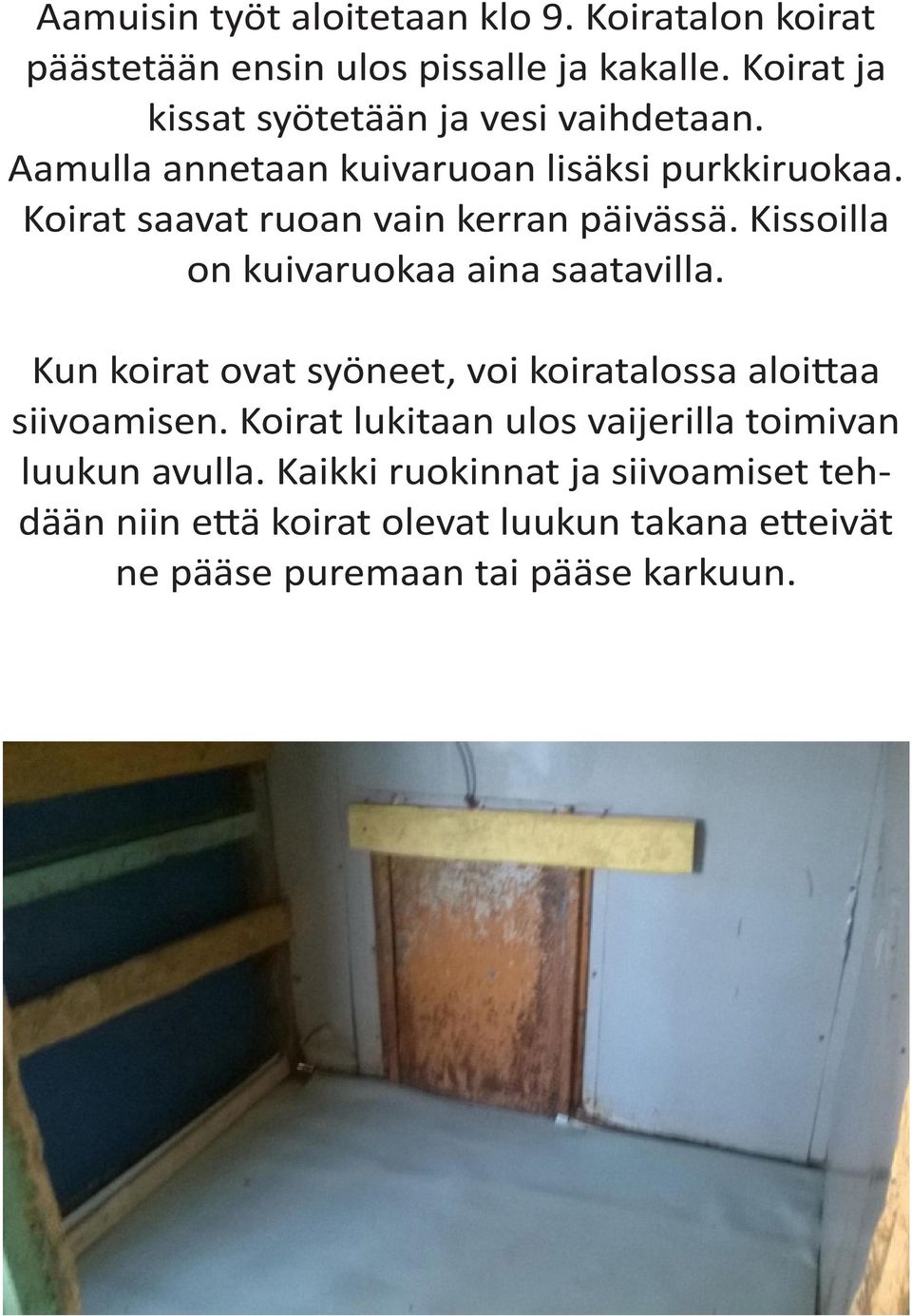 Koirat saavat ruoan vain kerran päivässä. Kissoilla on kuivaruokaa aina saatavilla.