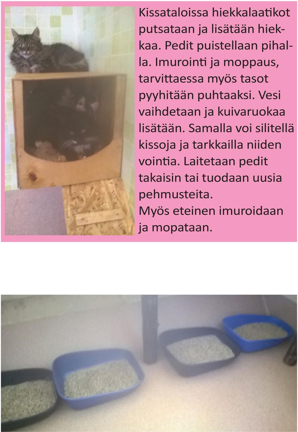 Vesi vaihdetaan ja kuivaruokaa lisätään.