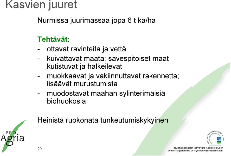 halkeilevat - muokkaavat ja vakiinnuttavat rakennetta; lisäävät murustumista