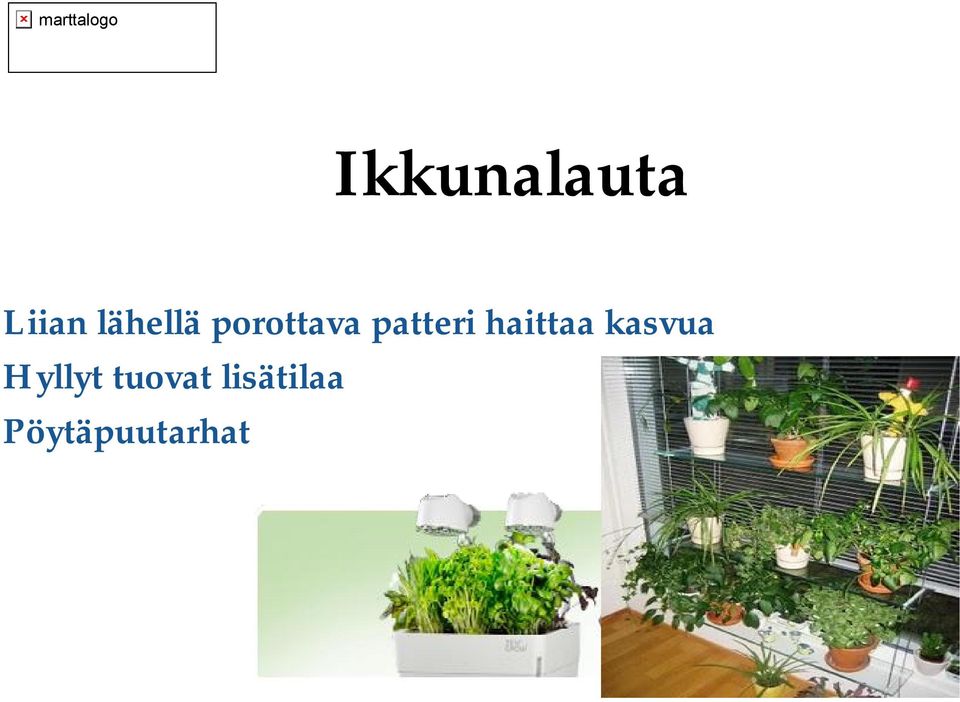 patteri haittaa kasvua