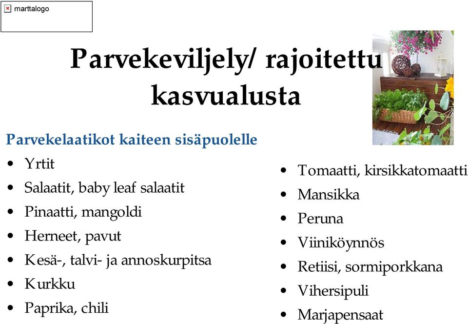 talvi ja annoskurpitsa Kurkku Paprika, chili Tomaatti, kirsikkatomaatti